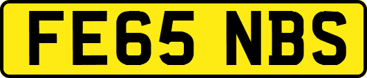 FE65NBS