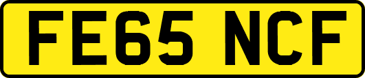 FE65NCF