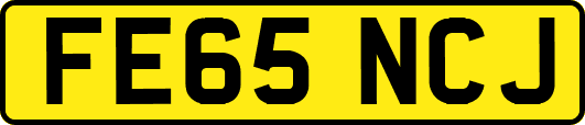 FE65NCJ