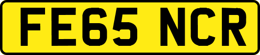 FE65NCR