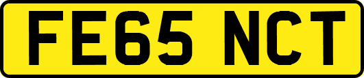 FE65NCT
