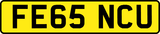 FE65NCU