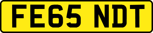 FE65NDT