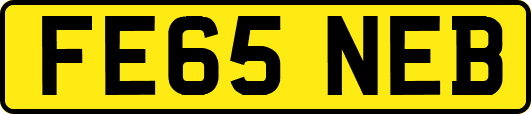 FE65NEB