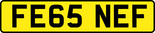 FE65NEF