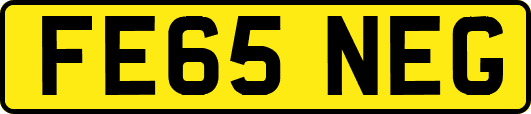 FE65NEG