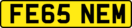 FE65NEM