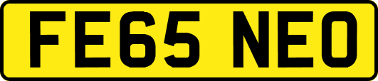 FE65NEO