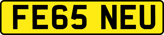FE65NEU
