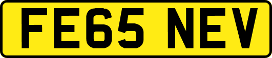 FE65NEV