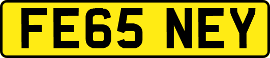 FE65NEY