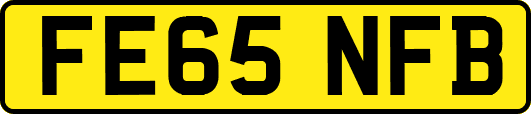 FE65NFB