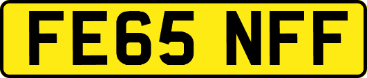 FE65NFF