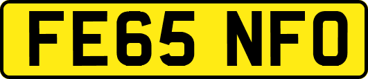 FE65NFO
