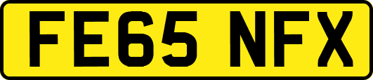 FE65NFX