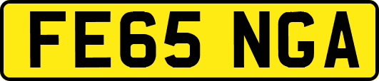 FE65NGA