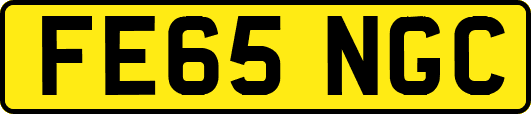 FE65NGC