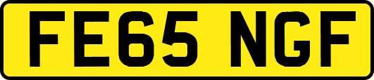 FE65NGF