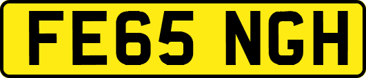 FE65NGH