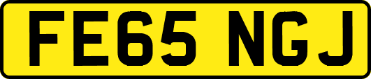 FE65NGJ