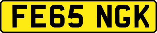 FE65NGK