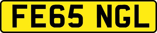 FE65NGL