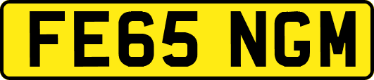 FE65NGM