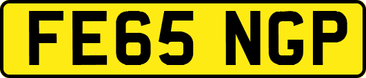 FE65NGP