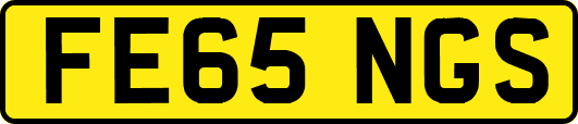 FE65NGS
