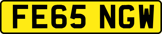 FE65NGW