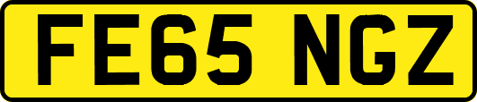 FE65NGZ