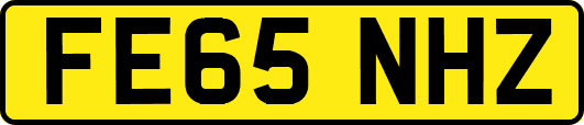 FE65NHZ