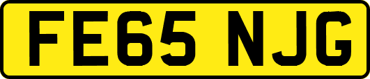 FE65NJG