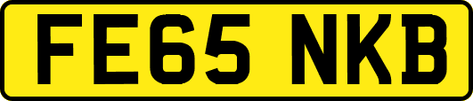 FE65NKB