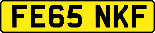 FE65NKF