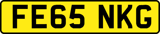 FE65NKG