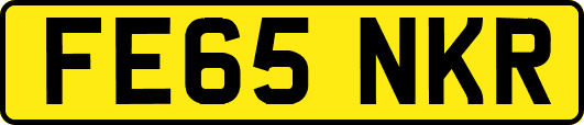 FE65NKR