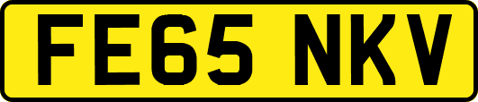 FE65NKV