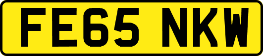 FE65NKW