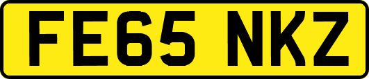 FE65NKZ