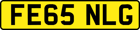 FE65NLG