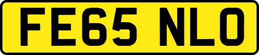 FE65NLO