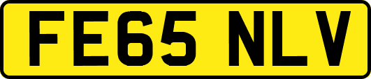 FE65NLV