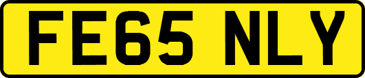 FE65NLY
