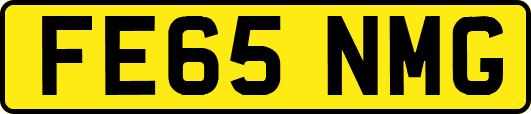 FE65NMG