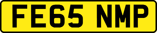 FE65NMP