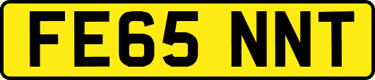 FE65NNT