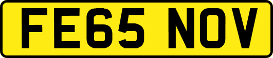 FE65NOV