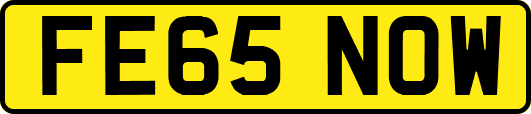 FE65NOW