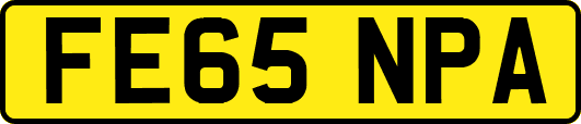 FE65NPA